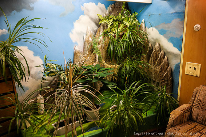 Быт и жизнь на атомном ледоколе (25 фото)