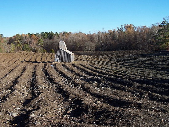10 неожиданных фактов о США