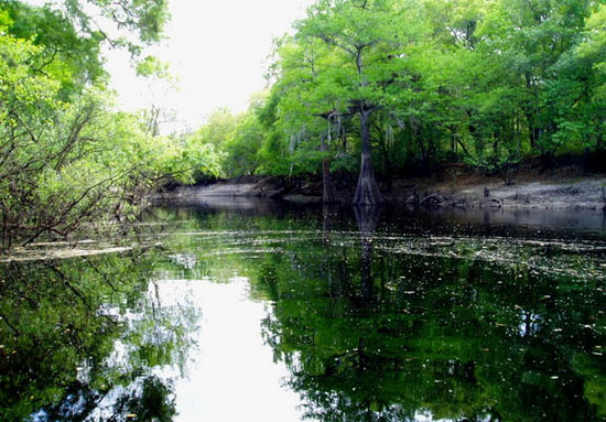 10 неожиданных фактов о США