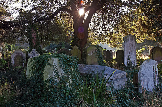 5 плачевных ситуаций, которые принесли пользу для науки 5 плачевных ситуаций, которые принесли пользу для науки