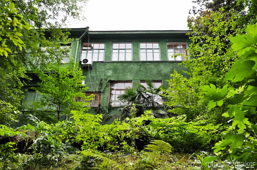 Дача Сталина в Сочи