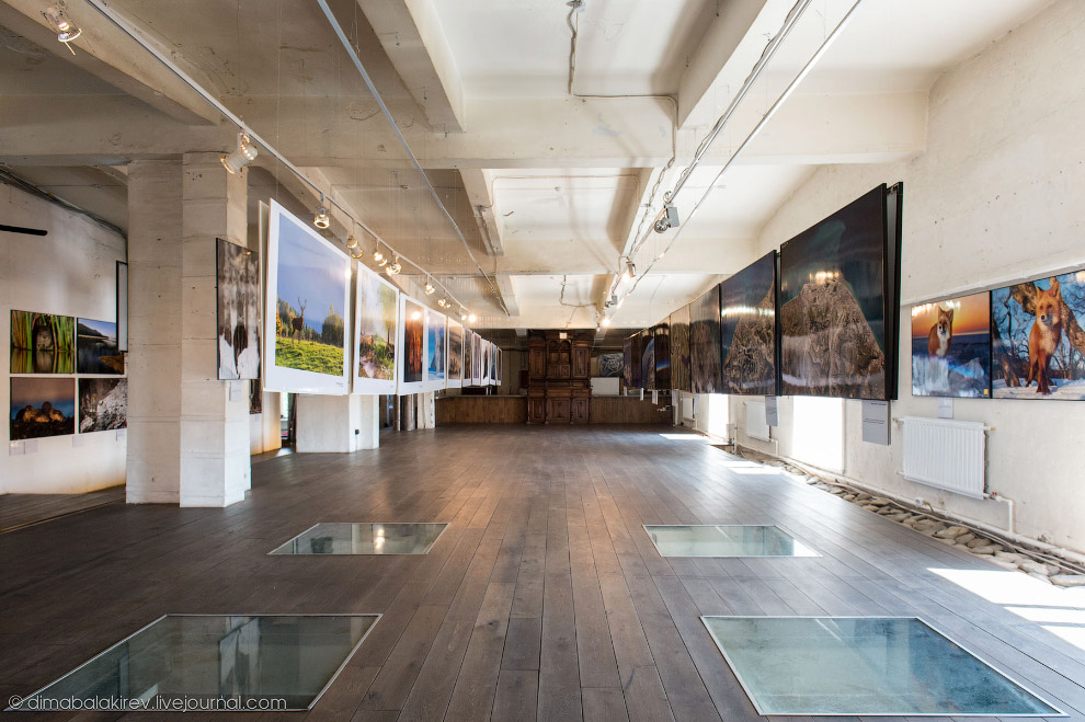 Необычная экскурсия в Лофт Проект ЭТАЖИ