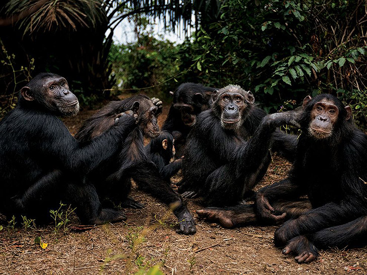 National Geographic: лучшие фотографии августа National Geographic: лучшие фотографии августа