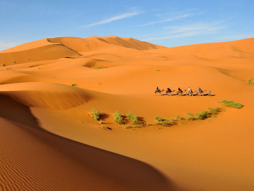 National Geographic: лучшие фотографии августа National Geographic: лучшие фотографии августа