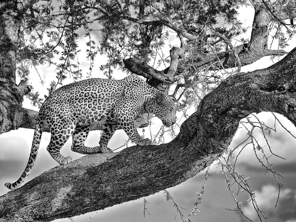 National Geographic: лучшие фотографии августа National Geographic: лучшие фотографии августа