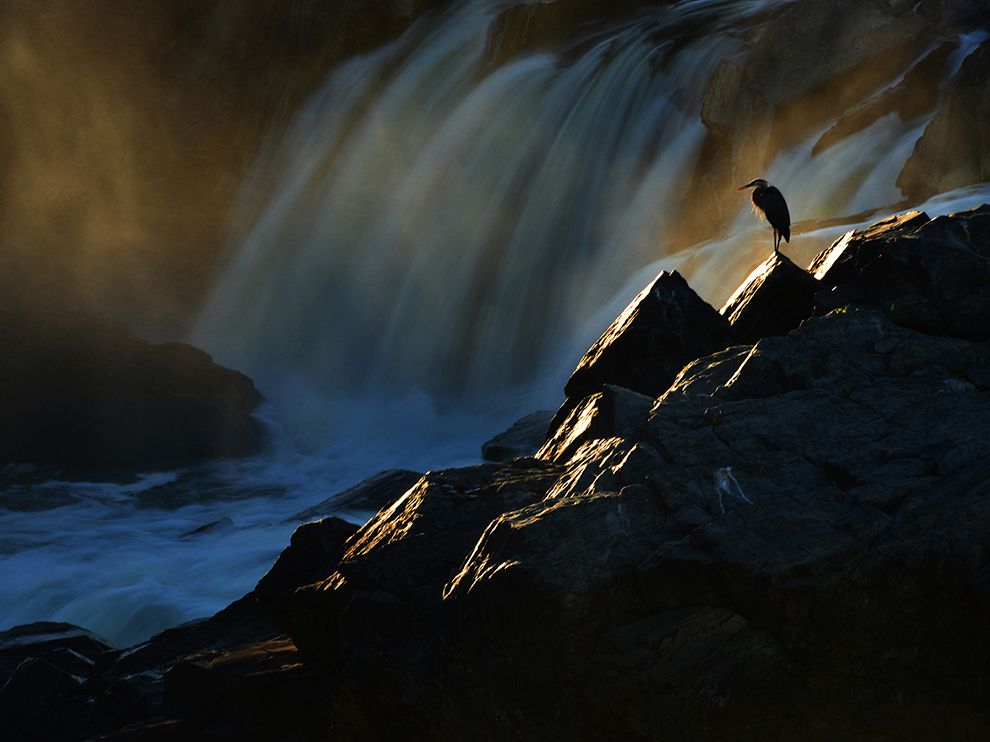 National Geographic: лучшие фотографии августа National Geographic: лучшие фотографии августа