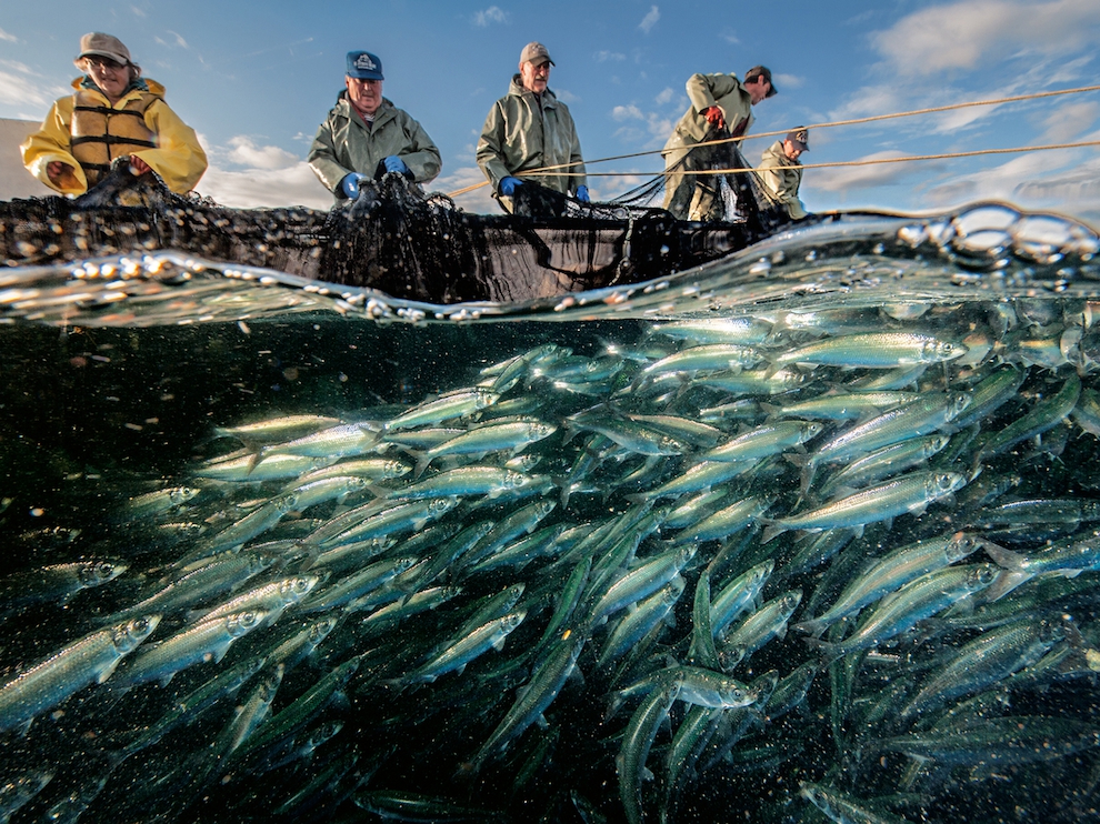 National Geographic: лучшие фотографии августа National Geographic: лучшие фотографии августа