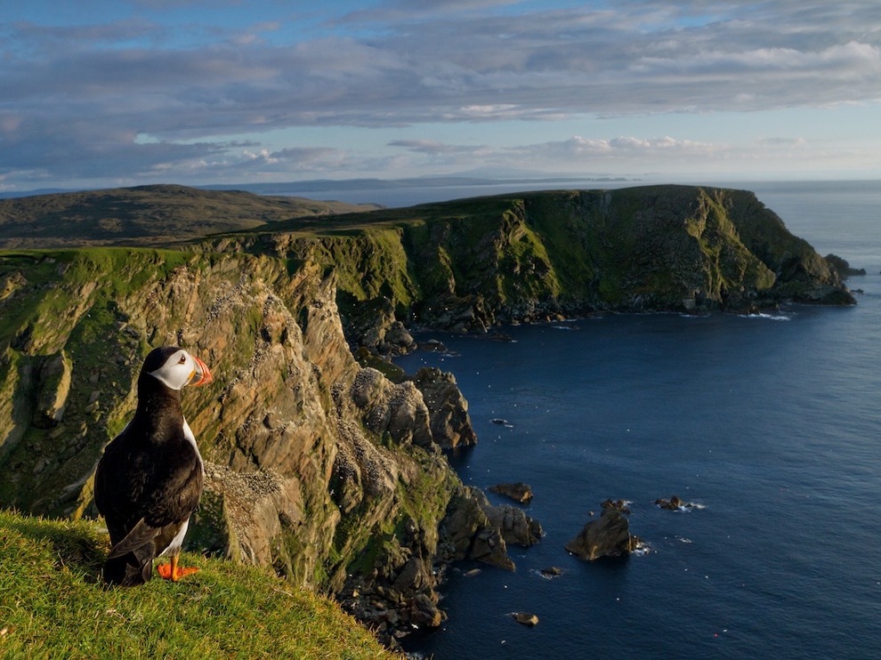 National Geographic: лучшие фотографии августа National Geographic: лучшие фотографии августа