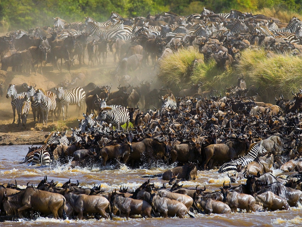 National Geographic: лучшие фотографии августа National Geographic: лучшие фотографии августа