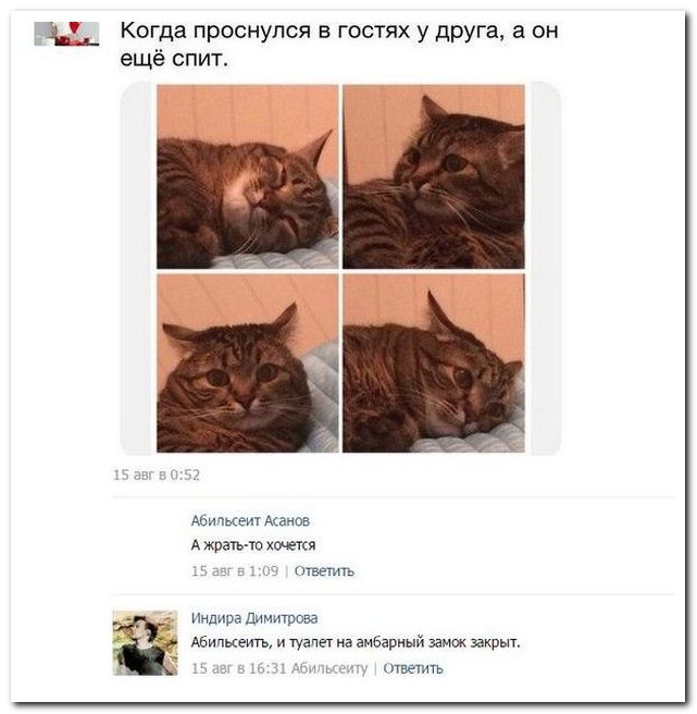 Смешные комментарии из социальных сетей