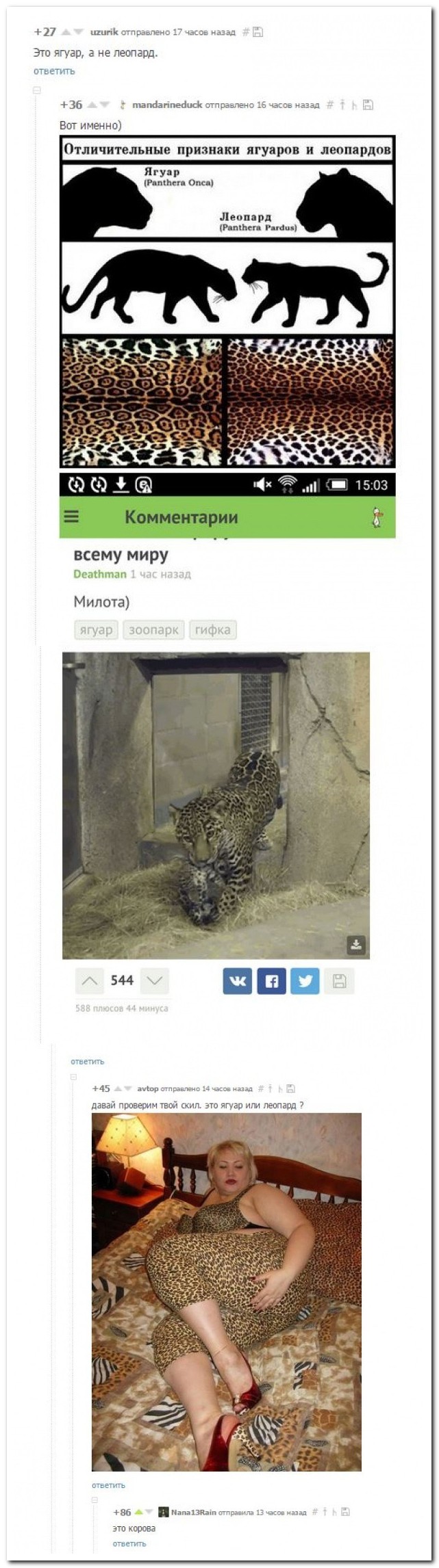 Смешные комментарии из социальных сетей