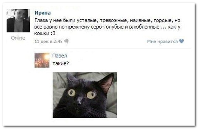 Смешные комментарии из социальных сетей