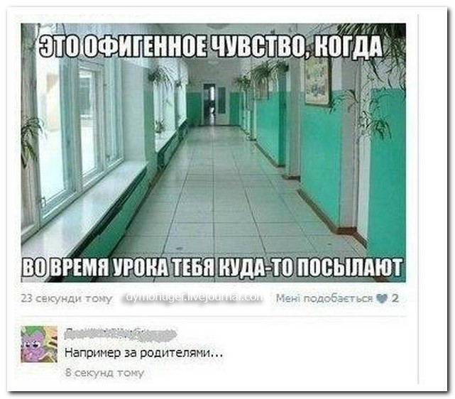 Смешные комментарии из социальных сетей