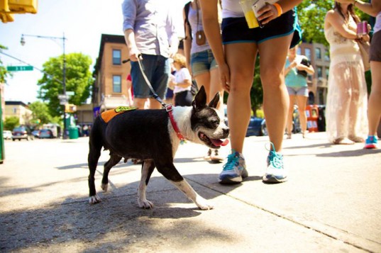 14 минусов Нью-Йорка и 5 вещей, ради которых эти минусы можно стерпеть 14 минусов Нью-Йорка и 5 вещей, ради которых эти минусы можно стерпеть
