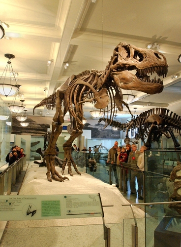 14 минусов Нью-Йорка и 5 вещей, ради которых эти минусы можно стерпеть 14 минусов Нью-Йорка и 5 вещей, ради которых эти минусы можно стерпеть