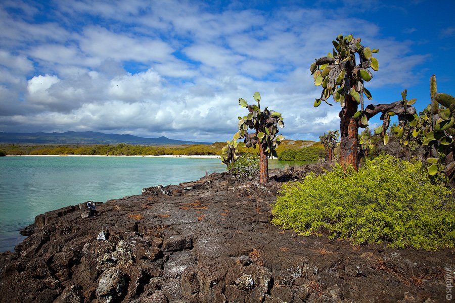 Путешествие на Галапагосские острова. Часть 1