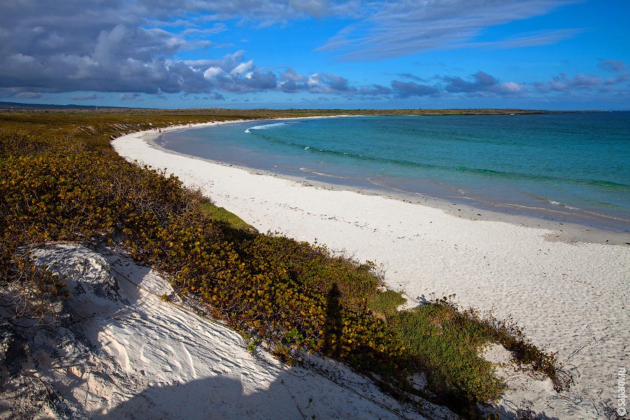 Путешествие на Галапагосские острова. Часть 1