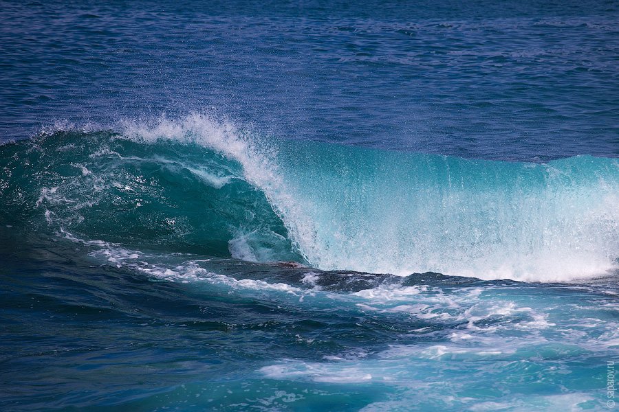 Путешествие на Галапагосские острова. Часть 1