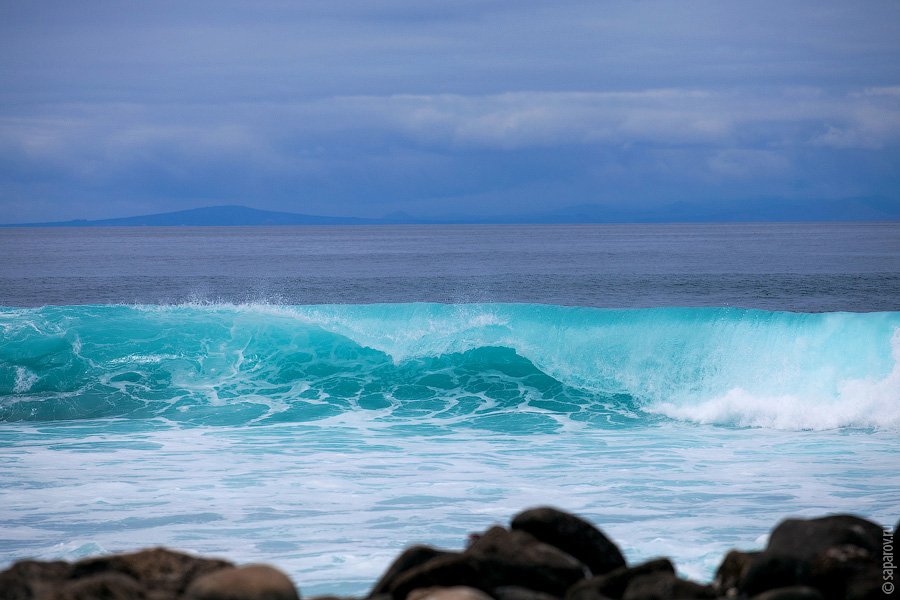 Путешествие на Галапагосские острова. Часть 1