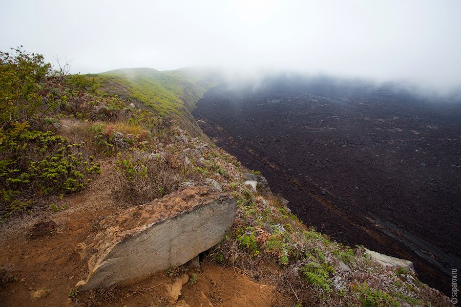 Путешествие на Галапагосские острова. Часть 1