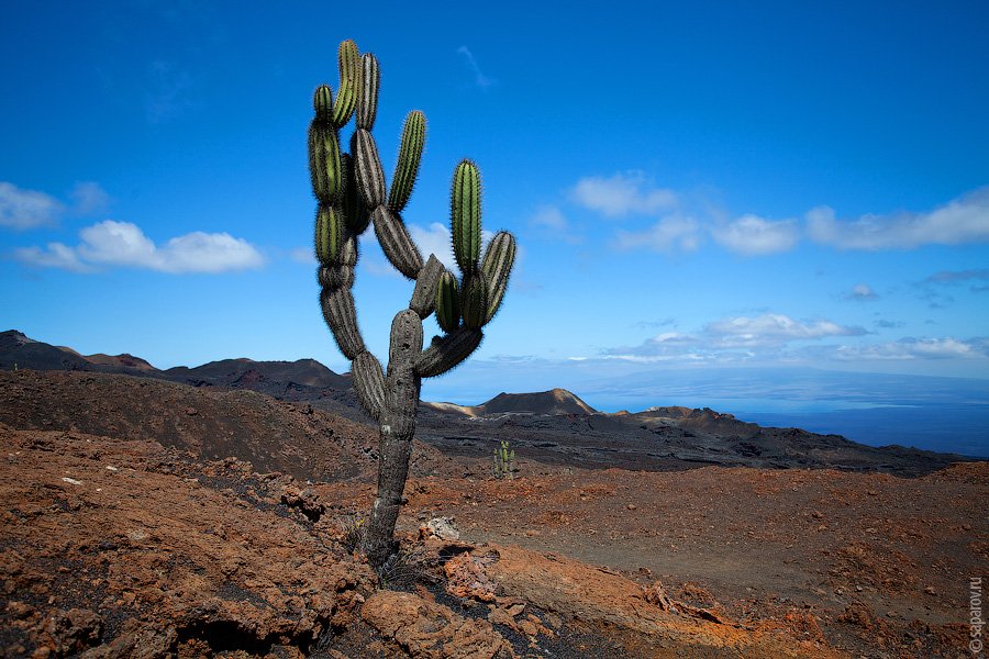 Путешествие на Галапагосские острова. Часть 1