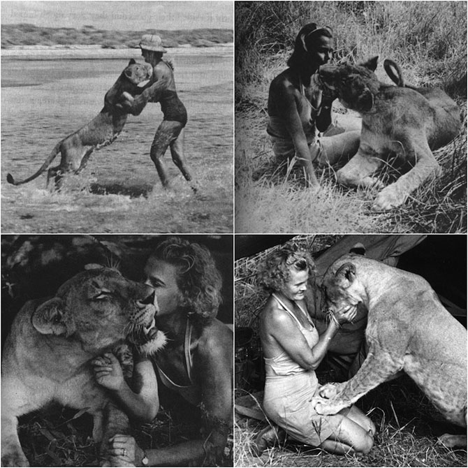 10 самых известных животных в истории и чем они знамениты 10 самых известных животных в истории и чем они знамениты