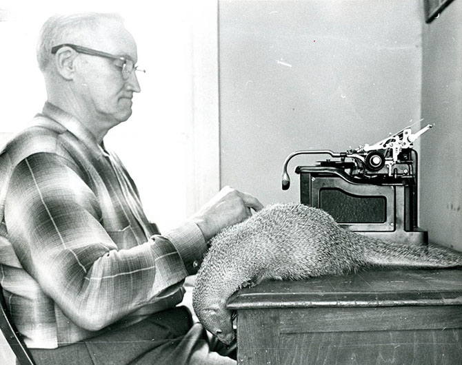 10 самых известных животных в истории и чем они знамениты 10 самых известных животных в истории и чем они знамениты