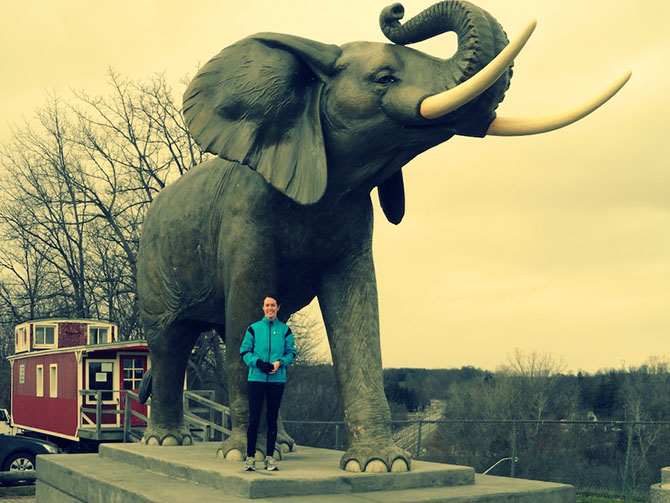 10 самых известных животных в истории и чем они знамениты 10 самых известных животных в истории и чем они знамениты