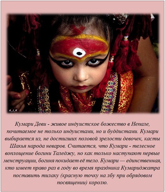 Факты в картинках