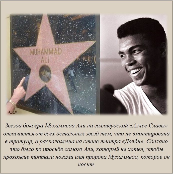 Факты в картинках