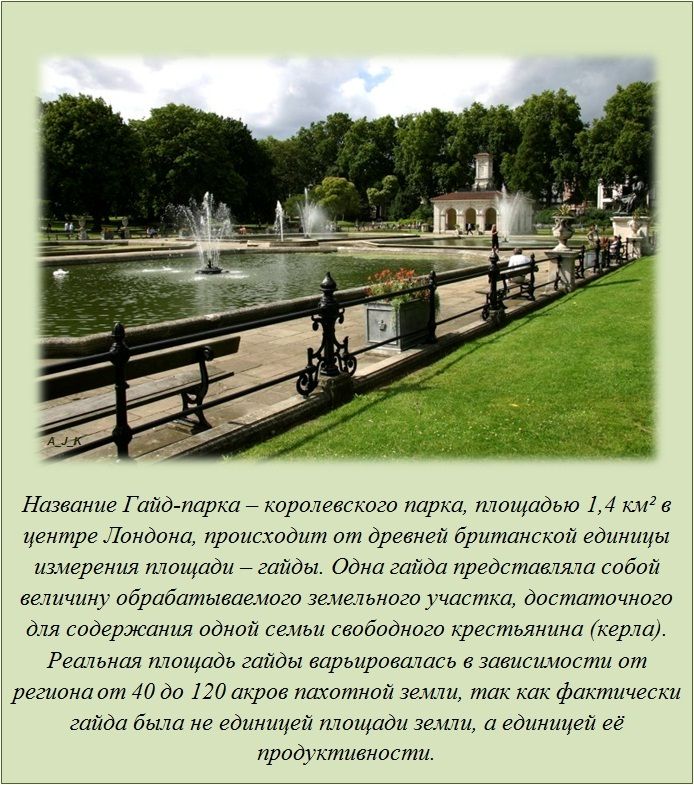 Факты в картинках