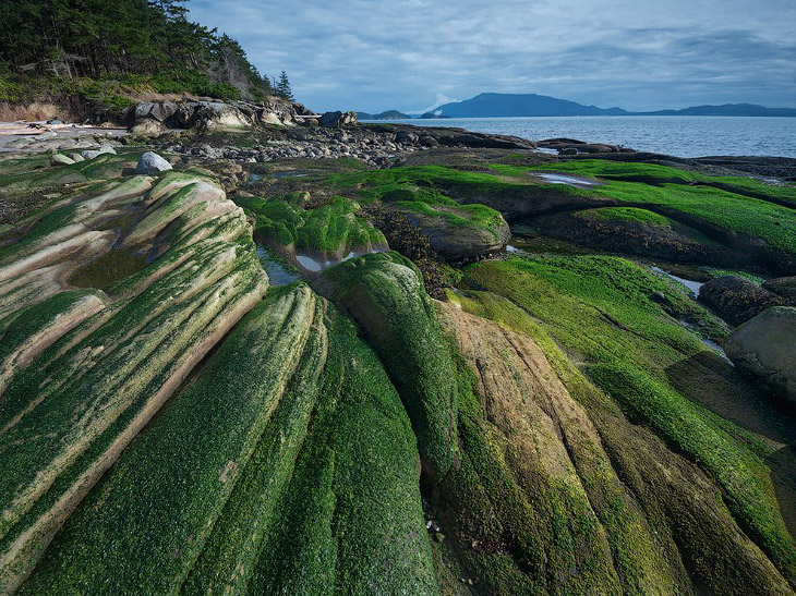 National Geographic: лучшие фотографии сентября National Geographic: лучшие фотографии сентября
