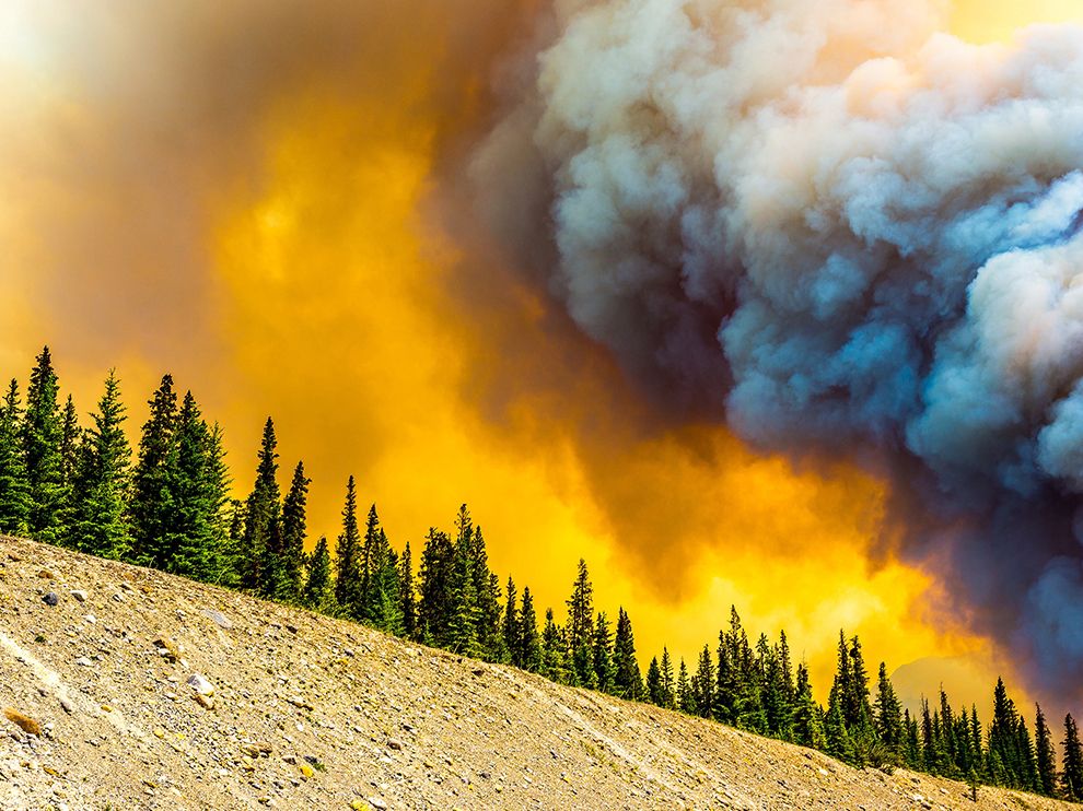 National Geographic: лучшие фотографии сентября National Geographic: лучшие фотографии сентября