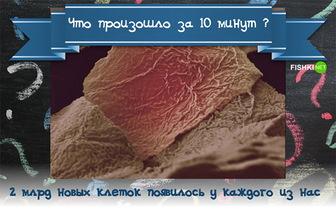 Что произошло за последние 10 минут?