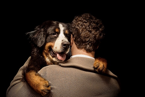 Спорим, вы не знали Спорим, вы не знали