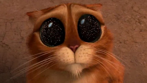 Спорим, вы не знали Спорим, вы не знали