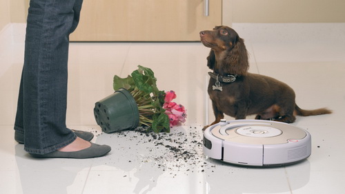 Спорим, вы не знали Спорим, вы не знали