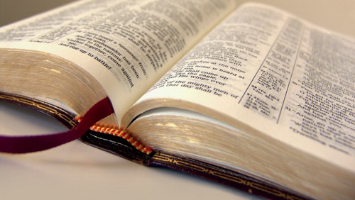 Спорим, вы не знали Спорим, вы не знали