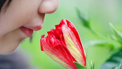 Спорим, вы не знали Спорим, вы не знали