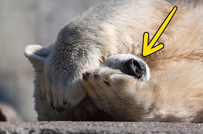 18 безумных фактов, которые взорвут мозг