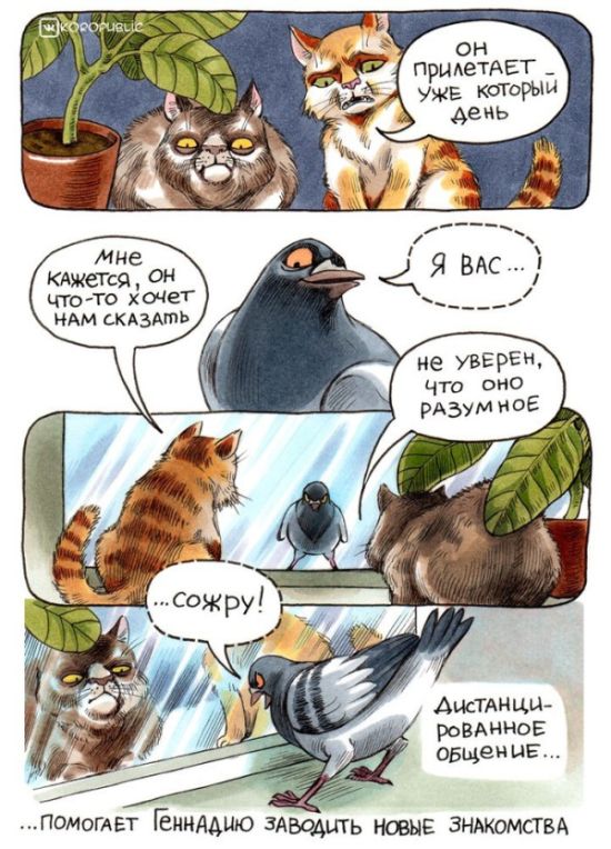 Смешные комиксы