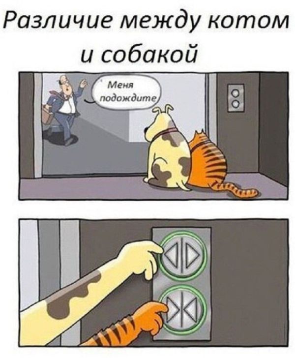 Смешные комиксы