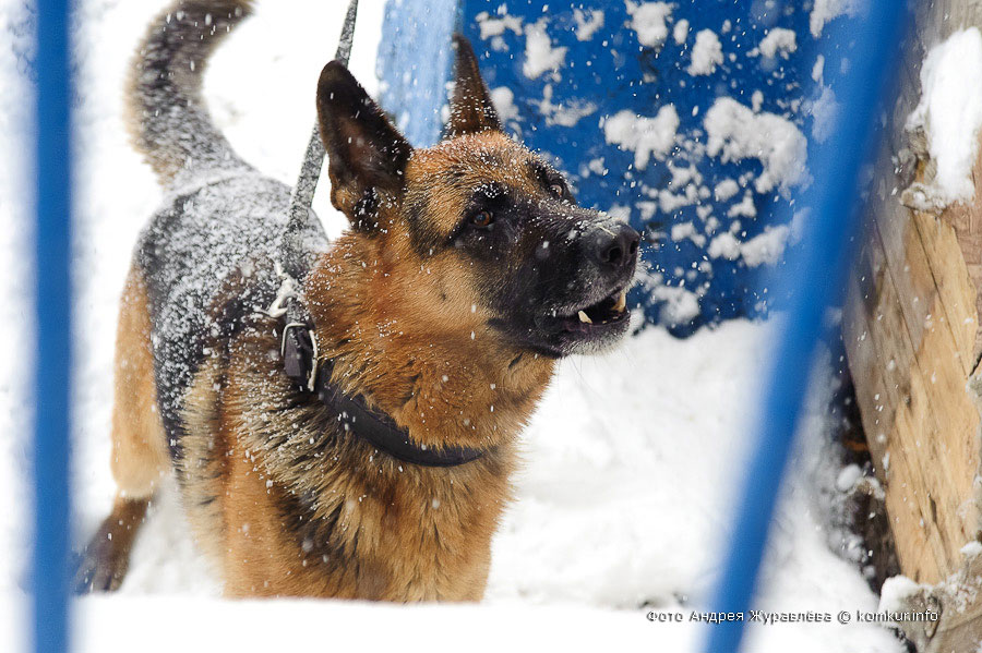 Репортаж из исправительной колонии в Бобруйске
