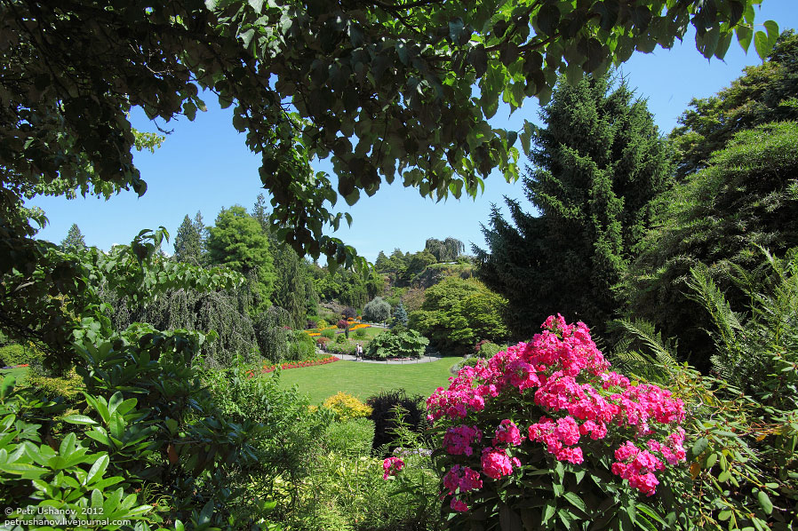 Прогулка по Ванкуверу
