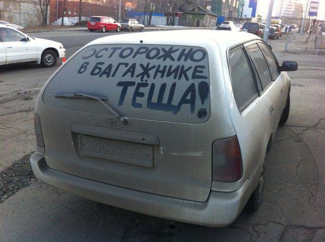 Прикольные картинки