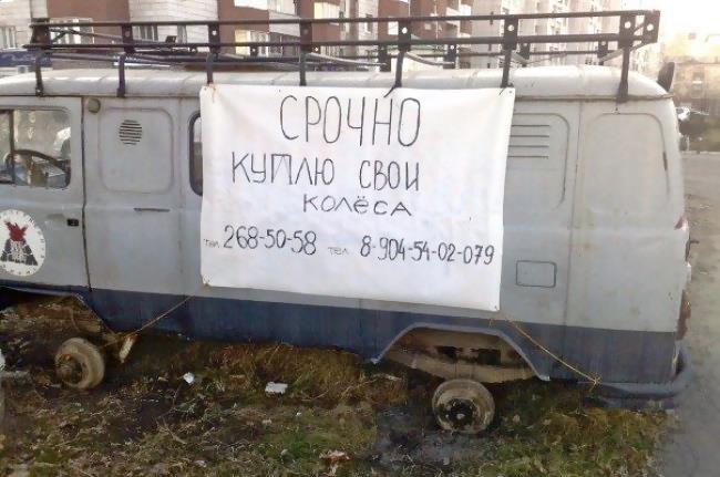 Прикольные картинки