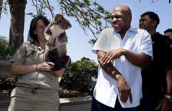 Прикольные картинки