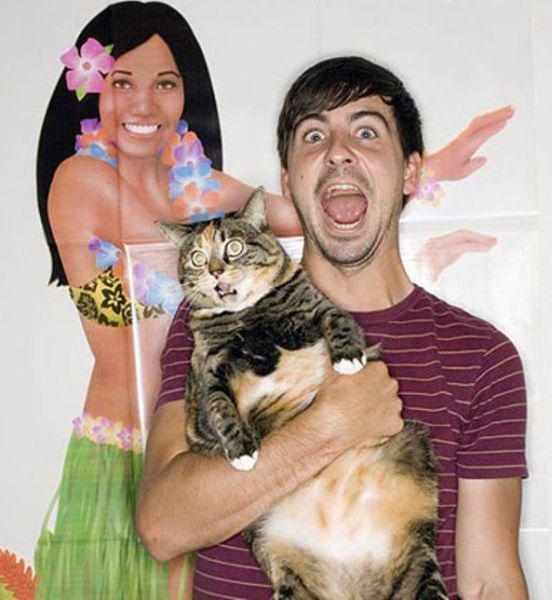 Прикольные картинки