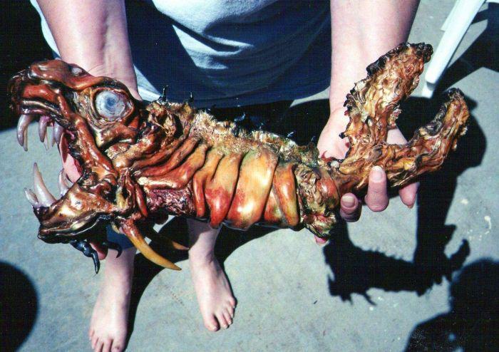 Прикольные картинки