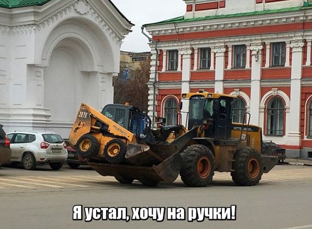 Прикольные картинки